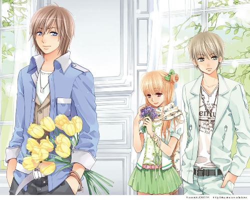 深入了解 蘑菇Tv网页版直接进入